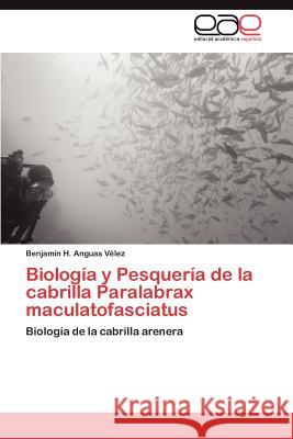 Biologia y Pesqueria de La Cabrilla Paralabrax Maculatofasciatus Benjam N. H. Angua 9783659025167 Editorial Acad Mica Espa Ola - książka