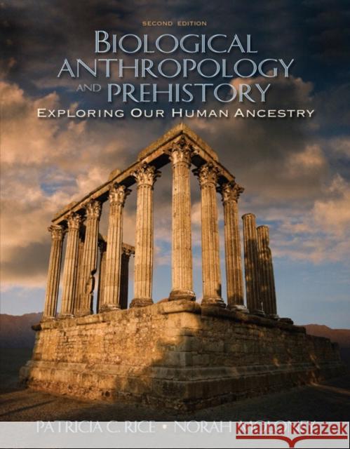 Biological Anthropology and Prehistory: Exploring Our Human Ancestry Rice, Patricia C. 9780205519262 Allyn & Bacon - książka