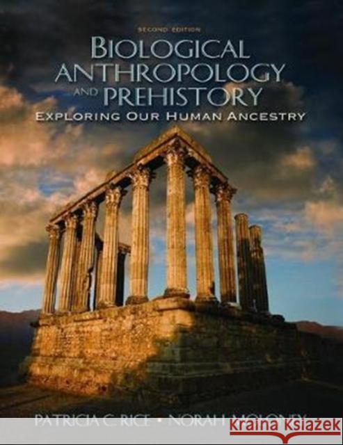 Biological Anthropology and Prehistory: Exploring Our Human Ancestry Patricia C. Rice 9781138467019 Taylor and Francis - książka