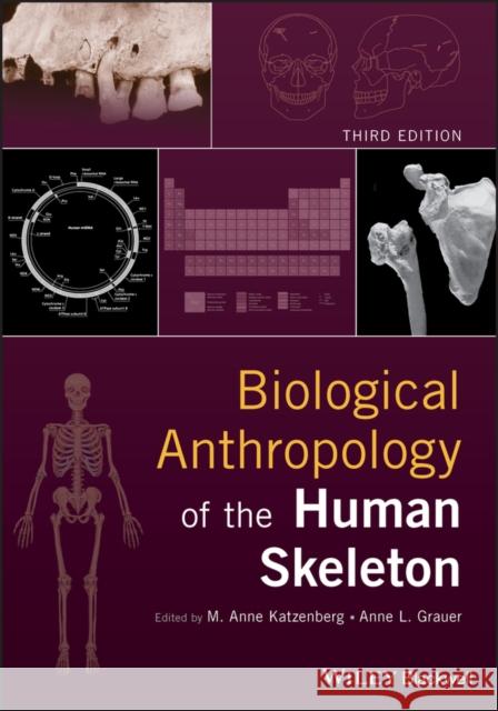 Biological Anthropology of the Human Skeleton M. Anne Katzenberg Anne L. Grauer 9781119151616 Wiley-Blackwell - książka