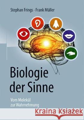 Biologie Der Sinne: Vom Molekül Zur Wahrnehmung Frings, Stephan 9783662583494 Springer - książka