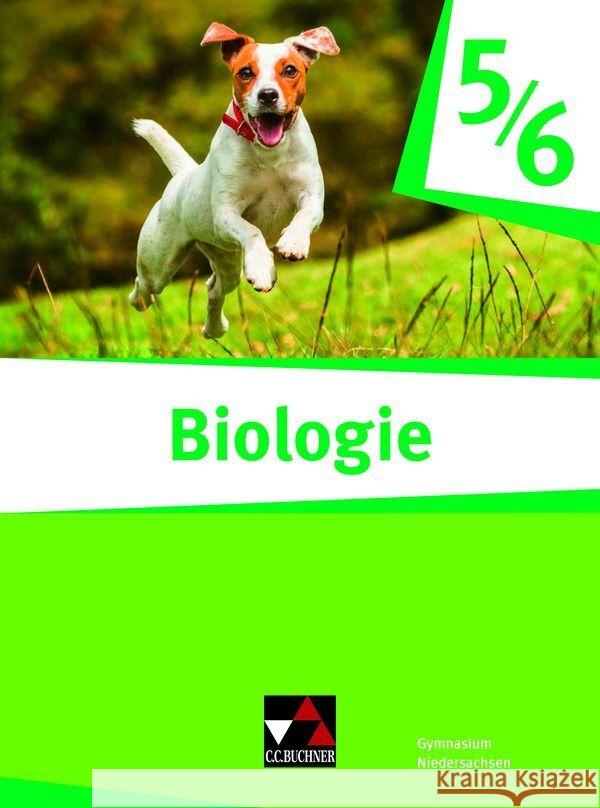 Biologie Niedersachsen 5/6 Karl, Philipp, Trescher, Christoph, Ullrich-Winter, Susanne 9783661030319 Buchner - książka