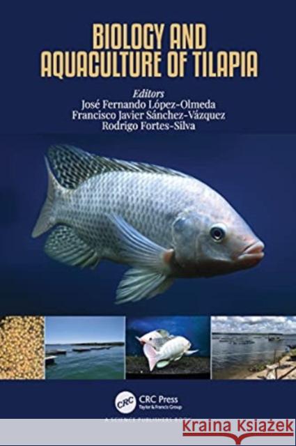 Biology and Aquaculture of Tilapia Jos? Fernando L?pez-Olmeda Francisco Javier S?nchez-V?zquez Rodrigo Fortes-Silva 9781032125336 CRC Press - książka