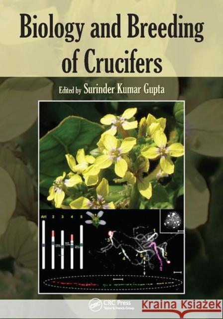 Biology and Breeding of Crucifers  9781138113459  - książka