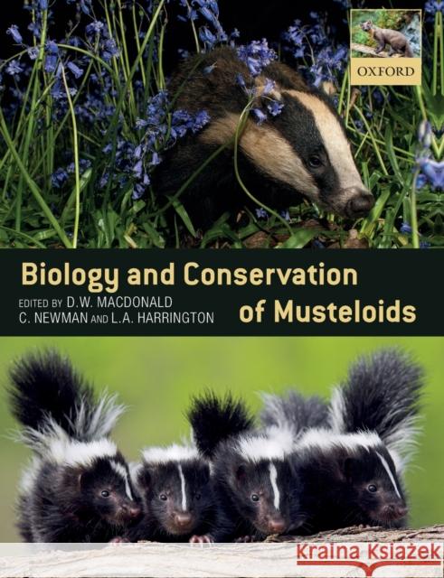 Biology and Conservation of Musteloids David W. Macdonald Christopher Newman Lauren A. Harrington 9780198759812 Oxford University Press, USA - książka