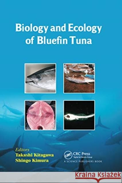 Biology and Ecology of Bluefin Tuna Takashi Kitagawa Shingo Kimura 9780367737993 CRC Press - książka