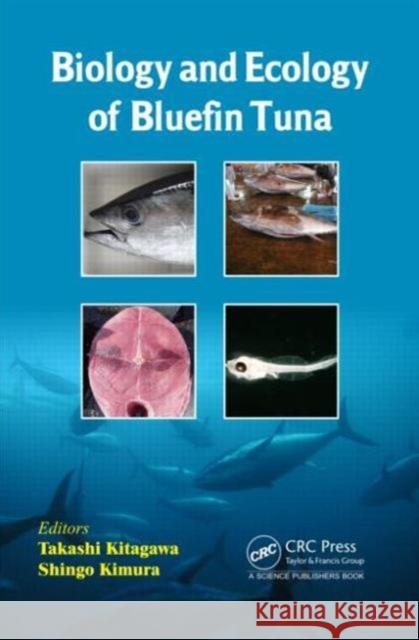 Biology and Ecology of Bluefin Tuna  9781498724876 Not Avail - książka