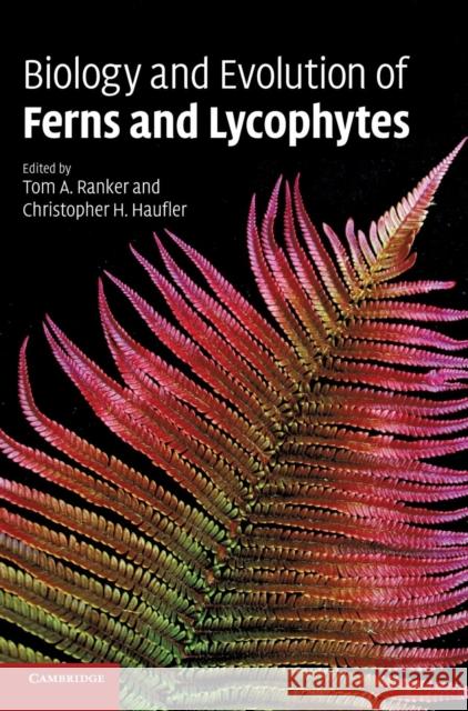 Biology and Evolution of Ferns and Lycophytes Tom A. Ranker 9780521874113 Cambridge University Press - książka