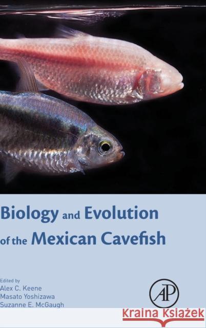 Biology and Evolution of the Mexican Cavefish Keene, Alex Yoshizawa, Masato McGaugh, Suzanne Elaine 9780128021484 Elsevier Science - książka