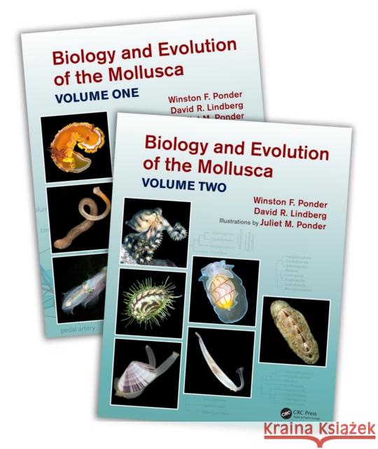 Biology and Evolution of the Mollusca Winston Frank Ponder David R. Lindberg Juliet Mary Ponder 9781032400310 Taylor & Francis Ltd - książka