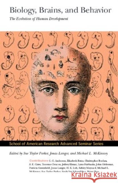 Biology, Brains, and Behavior: The Evolution of Human Development Parker, Sue Taylor 9780933452640 School of American Research Press,U.S. - książka
