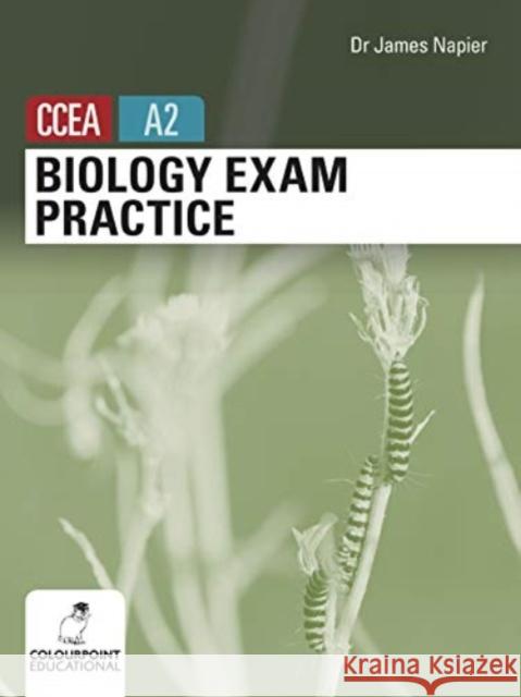 Biology Exam Practice for CCEA A2 Level James Napier 9781780732794 Colourpoint Creative Ltd - książka