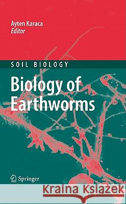 Biology of Earthworms Ayten Karaca 9783642146350 Not Avail - książka