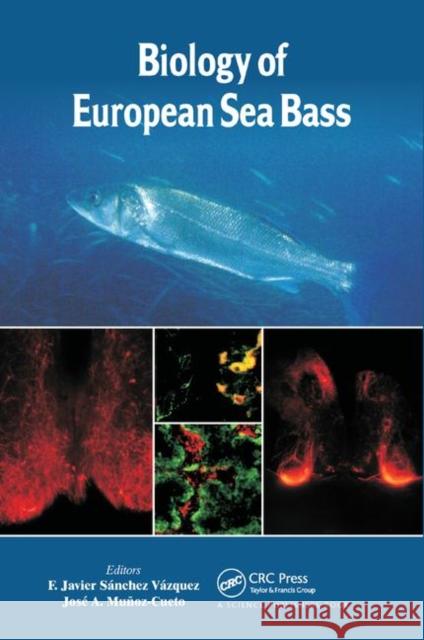 Biology of European Sea Bass F. Javier Sanchez Vazquez Jose a. Munoz-Cueto 9780367378585 CRC Press - książka