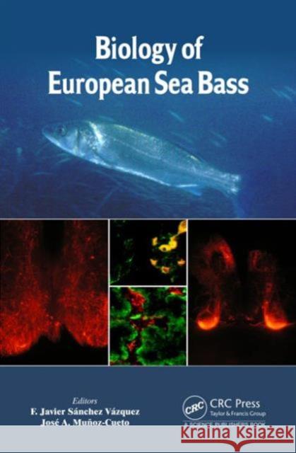 Biology of European Sea Bass F. Javier Sanchez Vazquez Jose a. Munoz-Cueto 9781466599451 CRC Press - książka