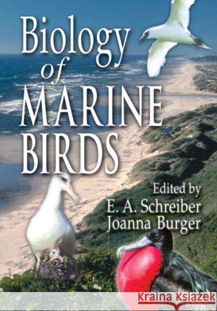 Biology of Marine Birds Elizabeth Anne Schreiber Joanna Burger 9780849398827 CRC Press - książka