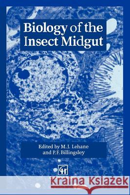 Biology of the Insect Midgut M. Lehane P. Billingsley 9789401071796 Springer - książka
