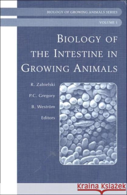 Biology of the Intestine in Growing Animals: Biology of Growing Animals Series Volume 1 Zabielski, R. 9780444509284 Elsevier - książka