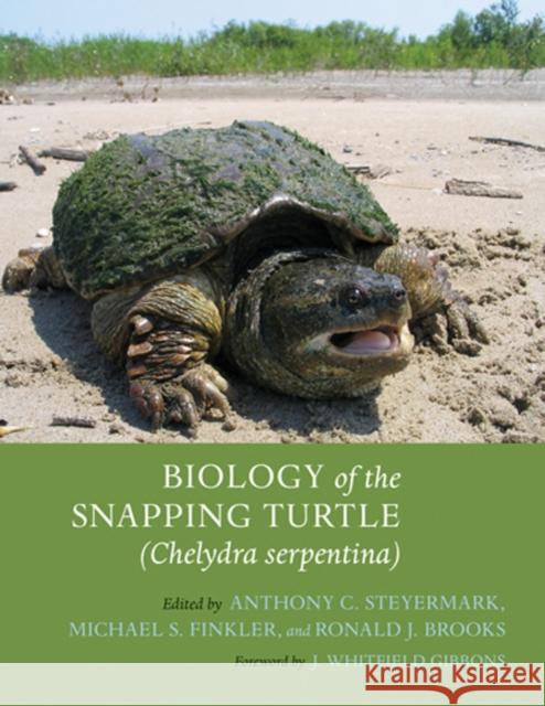 Biology of the Snapping Turtle (Chelydra Serpentina) Steyermark, Anthony C. 9780801887246 Johns Hopkins University Press - książka