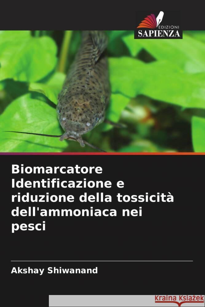 Biomarcatore Identificazione e riduzione della tossicità dell'ammoniaca nei pesci Shiwanand, Akshay 9786207127603 Edizioni Sapienza - książka