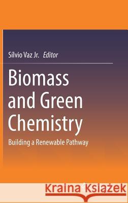 Biomass and Green Chemistry: Building a Renewable Pathway Vaz Jr, Sílvio 9783319667355 Springer - książka