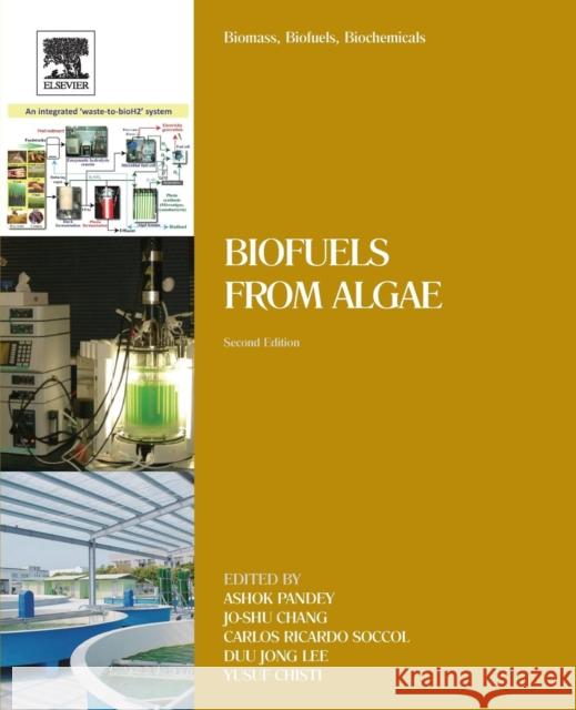 Biomass, Biofuels, Biochemicals: Biofuels from Algae Ashok Pandey Duu Jong Lee Jo-Shu Chang 9780444641922 Elsevier - książka