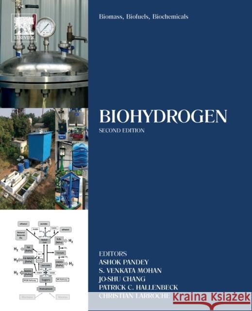 Biomass, Biofuels, Biochemicals: Biohydrogen Ashok Pandey S. Venkata Mohan Jo-Shu Chang 9780444642035 Elsevier - książka