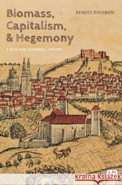 Biomass, Capitalism, and Hegemony: A Rich and Powerful History Benoit Daviron 9781350443235 Bloomsbury Publishing PLC - książka