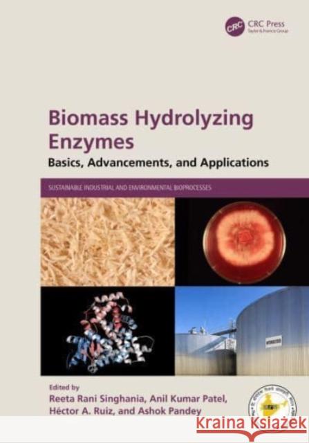 Biomass Hydrolyzing Enzymes: Basics, Advancements, and Applications Reeta Rani Singhania Anil Kumar Patel H?ctor A. Ruiz 9781032370972 CRC Press - książka