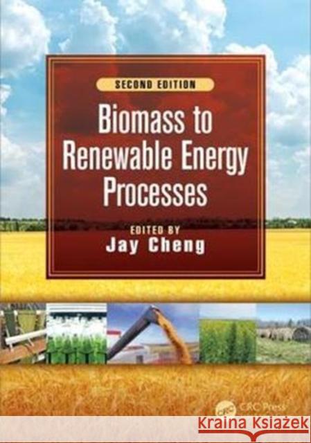 Biomass to Renewable Energy Processes Jay Cheng 9781498778794 CRC Press - książka