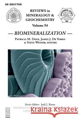 Biomineralization Patricia M. Dove, James J. De Yoreo, Steve Weiner 9780939950669 de Gruyter - książka