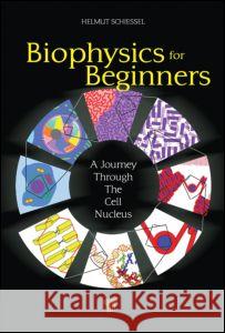 Biophysics for Beginners: A Journey Through the Cell Nucleus Schiessel, Helmut 9789814241656 Pan Stanford Publishing - książka