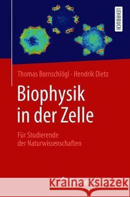 Biophysik in Der Zelle: Für Angehende Naturwissenschaftler Bornschlögl, Thomas 9783662616086 Springer Spektrum - książka