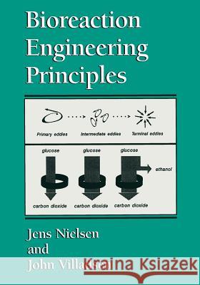 Bioreaction Engineering Principles Jens Nielsen John Villadsen 9781475746471 Springer - książka