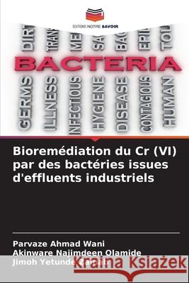 Bioremédiation du Cr (VI) par des bactéries issues d'effluents industriels Wani, Parvaze Ahmad, Olamide, Akinware Najimdeen, Zainab, Jimoh Yetunde 9786206819646 Editions Notre Savoir - książka