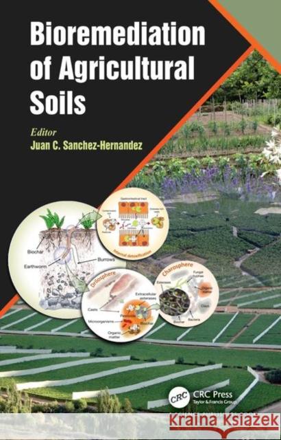 Bioremediation of Agricultural Soils Juan C. Sanchez-Hernandez 9781138651913 CRC Press - książka