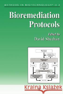 Bioremediation Protocols David Sheehan 9780896034372 Humana Press - książka