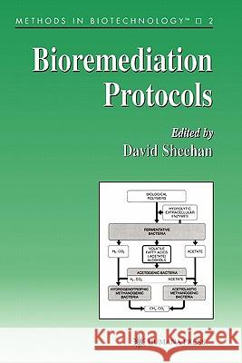 Bioremediation Protocols David Sheehan 9781617370366 Springer - książka