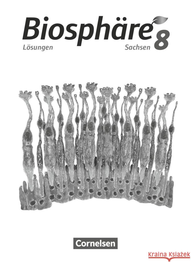 Biosphäre Sekundarstufe I - Gymnasium Sachsen 2020 - 8. Schuljahr Lösungen zum Schülerbuch Goldberg, Axel, Hübner, Yvonne, Jatzwauk, Daniela 9783064202757 Cornelsen Verlag - książka