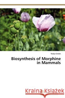 Biosynthesis of Morphine in Mammals Nadja Grobe 9783838136059 Sudwestdeutscher Verlag Fur Hochschulschrifte - książka