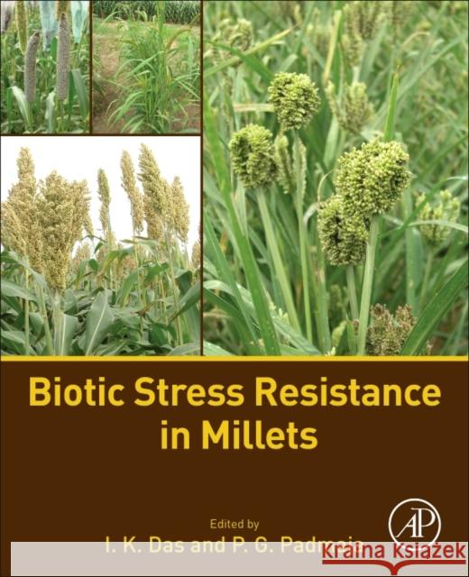 Biotic Stress Resistance in Millets I. K. Das P. G. Padmaja 9780128045497 Academic Press - książka