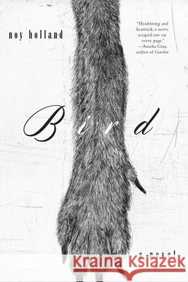 Bird: A Novel Noy Holland 9781619028272 Counterpoint - książka