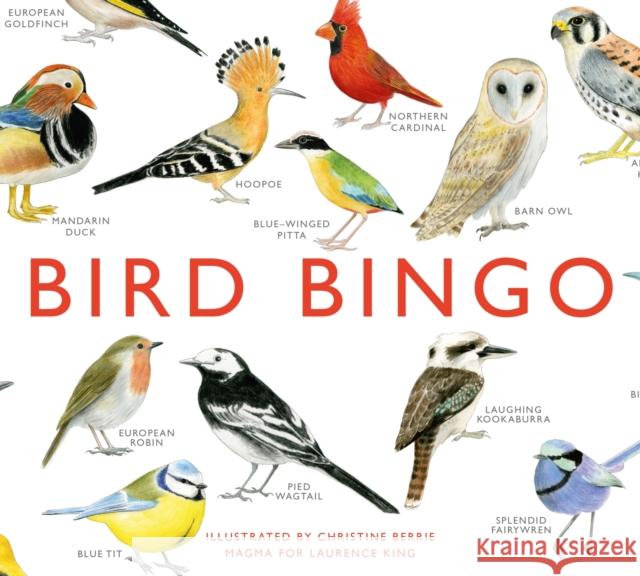 Bird Bingo   9781856699174  - książka