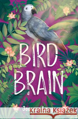 Bird Brain Joanne Levy 9781459837713 Orca Book Publishers - książka