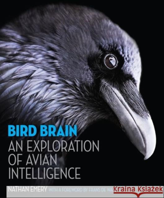Bird Brain: An Exploration of Avian Intelligence Nathan Emery Frans d 9780691165172 Princeton University Press - książka