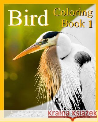 Bird Coloring Book 1 Irisbenjamina J R. J 9781096215547 Independently Published - książka