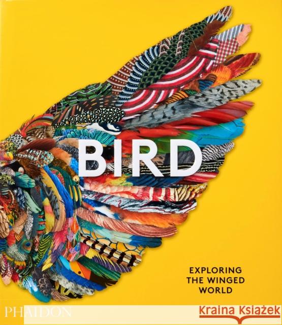 Bird: Exploring the Winged World Phaidon Press 9781838661403 Phaidon Press Ltd - książka