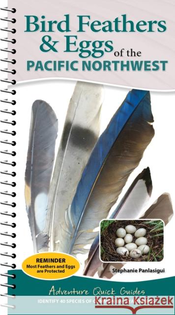 Bird Feathers & Eggs of the Northwest: Identify 40 Species of Common Backyard Birds Stephanie Panlasigui 9781647556648 Adventure Publications - książka