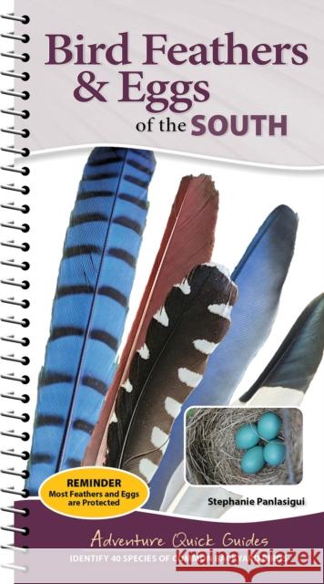 Bird Feathers & Eggs of the South: Identify 40 Species of Common Backyard Birds Stephanie Panlasigui 9781647556662 Adventure Publications - książka