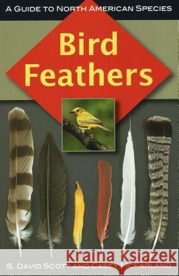 Bird Feathers: A Guide to North American Species S. David Scott Casey McFarland 9780811736183 Stackpole Books - książka